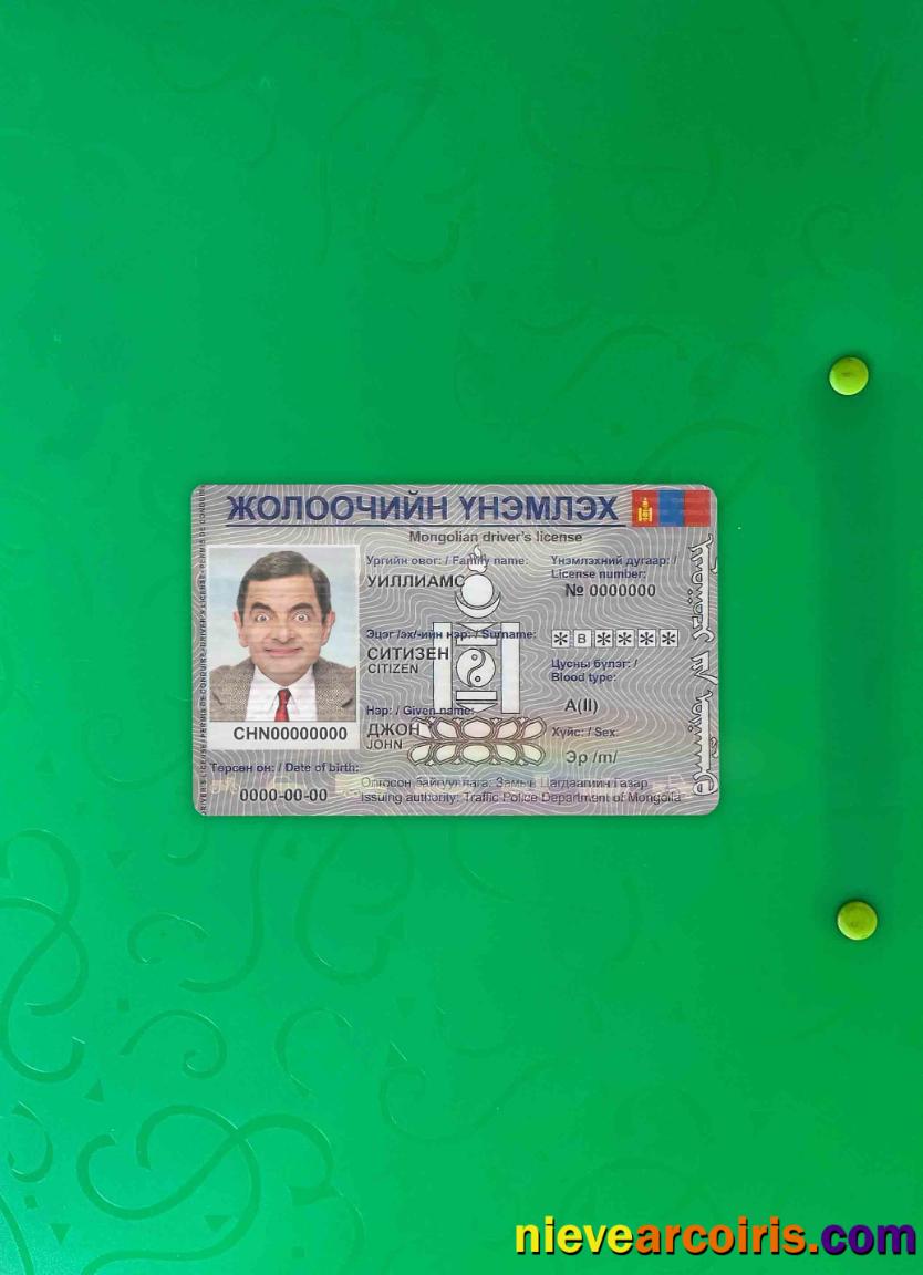 Mongolia driving license  photolook